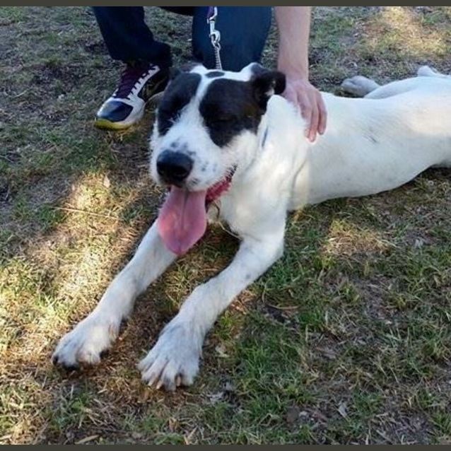 Photo of Arthur Dl928