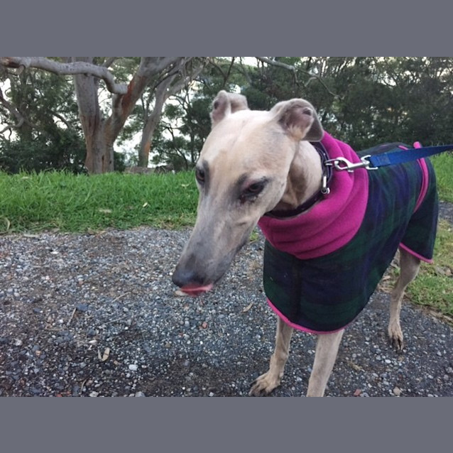 Photo of Penny