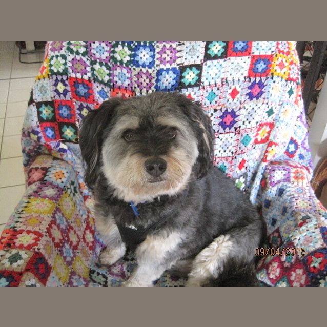 Photo of Clyde