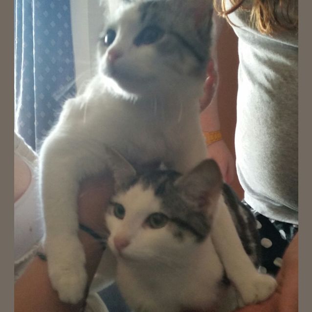 Photo of Scip And Scant.