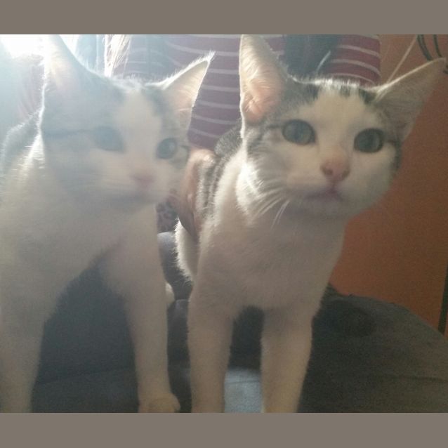 Photo of Scip And Scant.