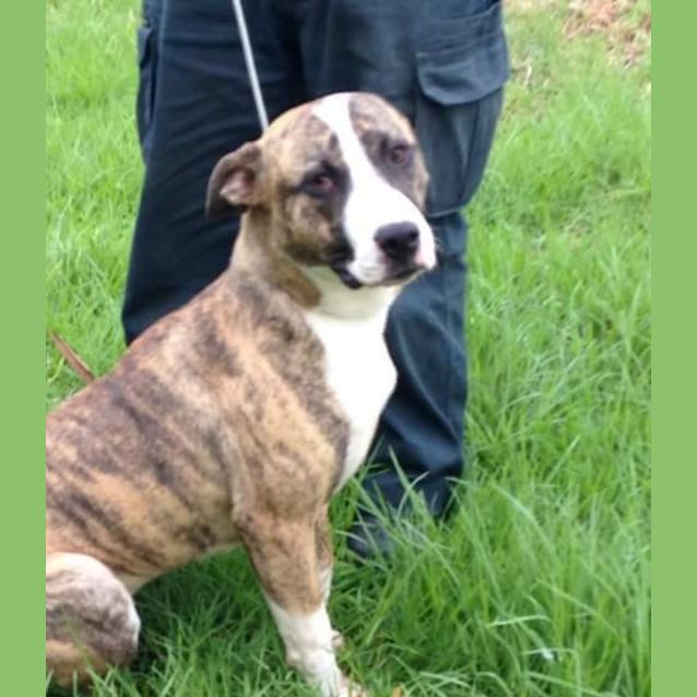 Photo of Faith ** Just A Lovely Natured Girl **