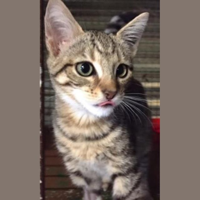 Photo of Cassie