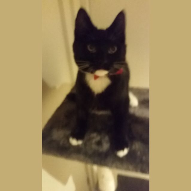 Photo of Luna (Located In Brunswick)