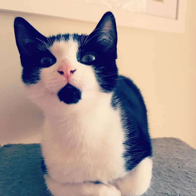 Photo of Cora (Located In Eltham)