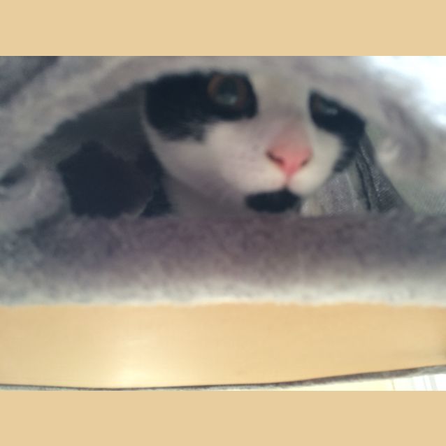 Photo of Cora (Located In Eltham)