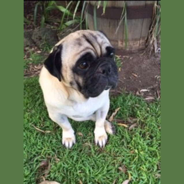 Photo of Thomas The Tank!