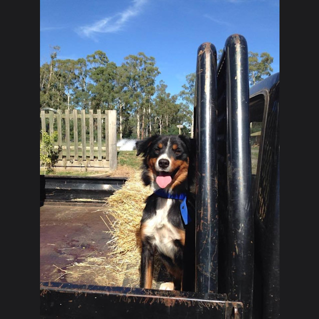 Photo of Tully
