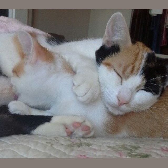 Photo of Fergus & His Mum Sally