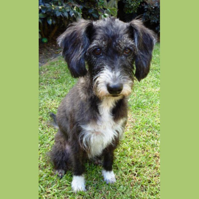 Photo of Miss Harper