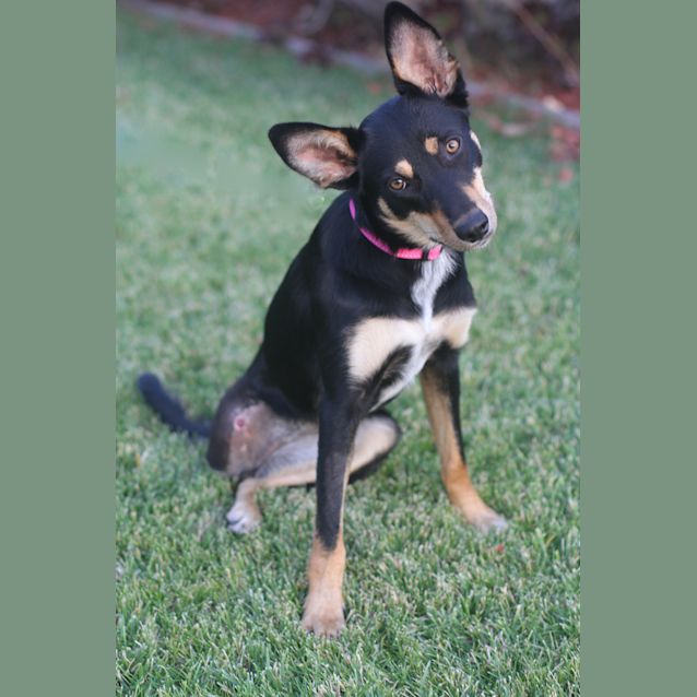 Photo of Taren   Amputee