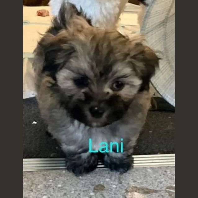 Photo of Lani