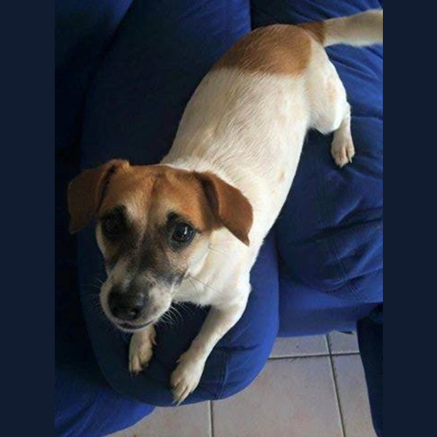 Photo of Coco