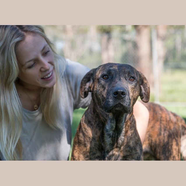 Photo of Butch ~ #1500258