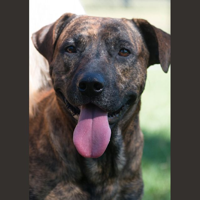 Photo of Butch ~ #1500258