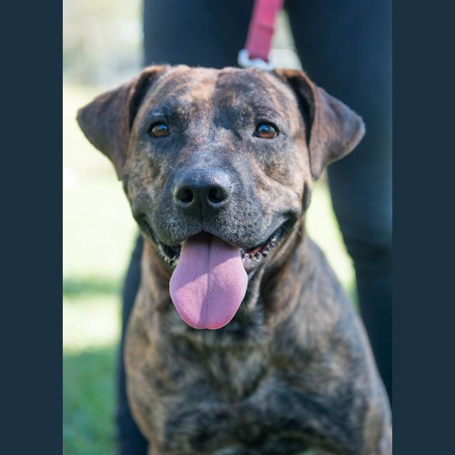 Photo of Butch ~ #1500258