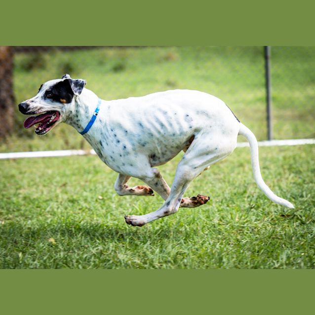 Photo of Danny ~ #1500838