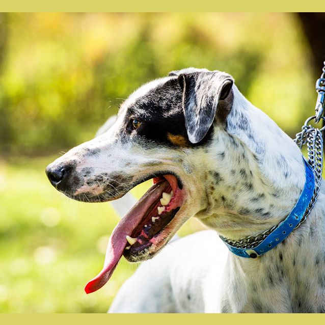 Photo of Danny ~ #1500838