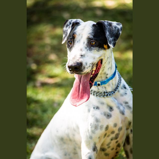 Photo of Danny ~ #1500838