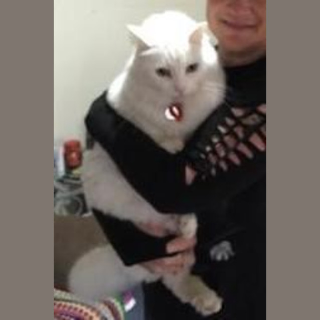 Photo of Buddy Holly (Ec0123)