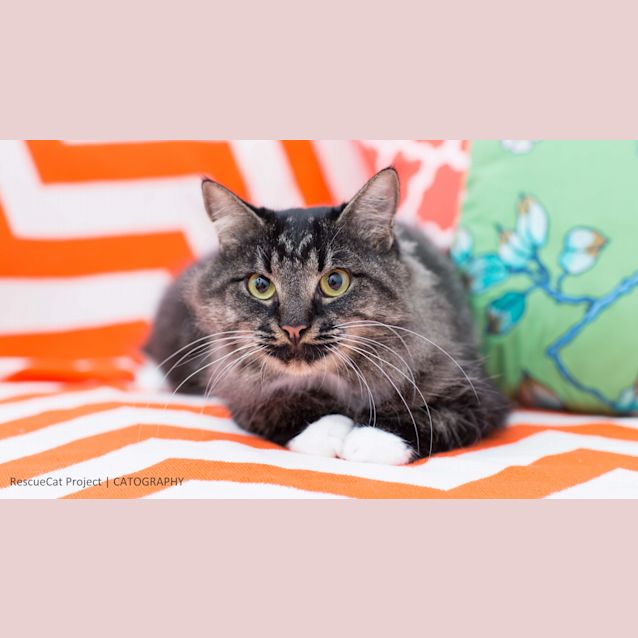 Photo of Caramel Swirl