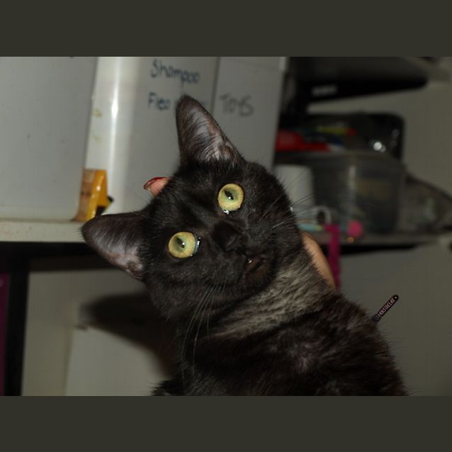 Photo of Wanda