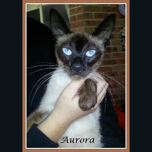 Photo of Aurora