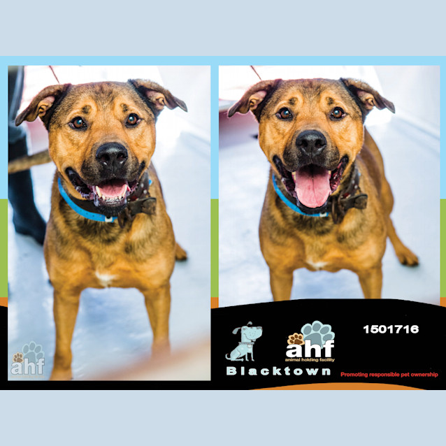 Photo of Kayne ~ #1501716