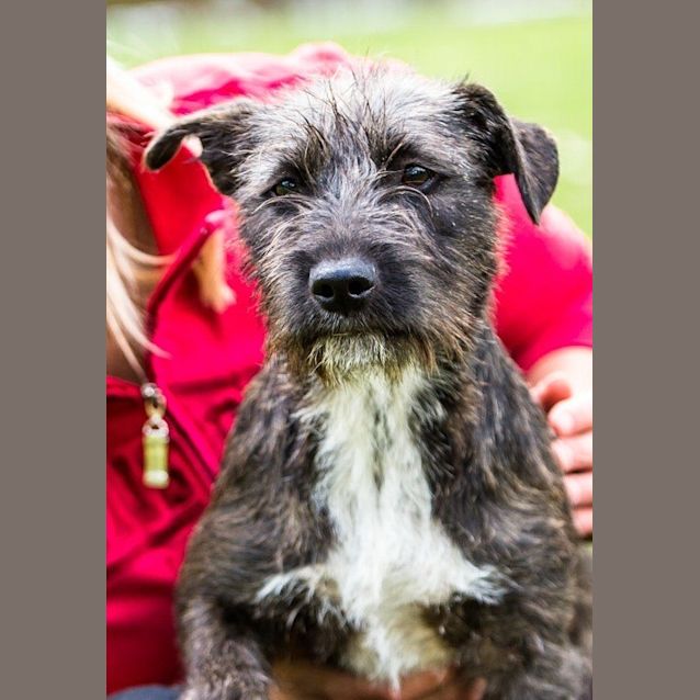 Photo of Harriet ~ #1501780