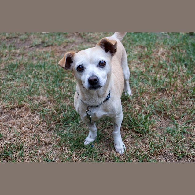 Photo of Duchess 