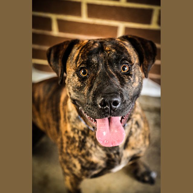 Photo of Huck ~ #1501818