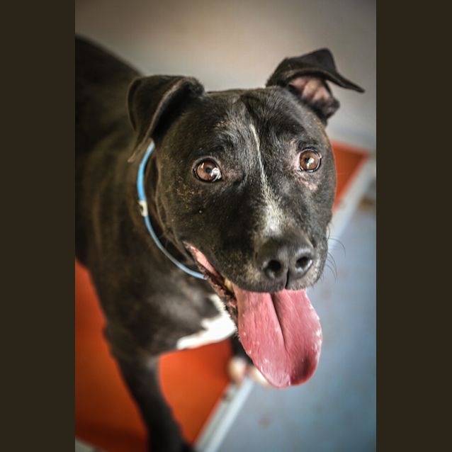 Photo of Jett ~ #1501678