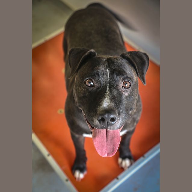 Photo of Jett ~ #1501678