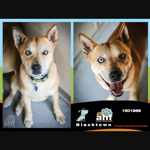 Photo of Montee ~ #1501866