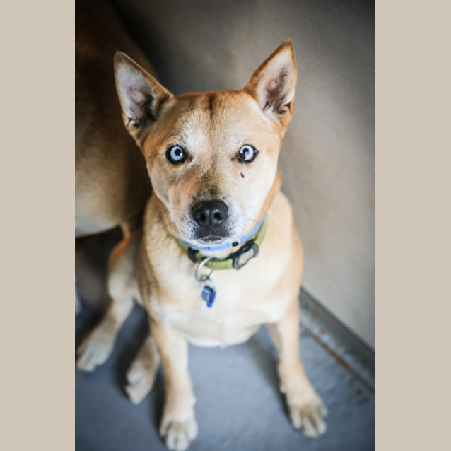 Photo of Montee ~ #1501866