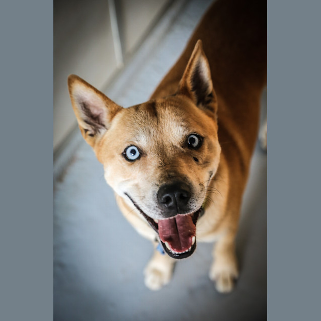 Photo of Montee ~ #1501866