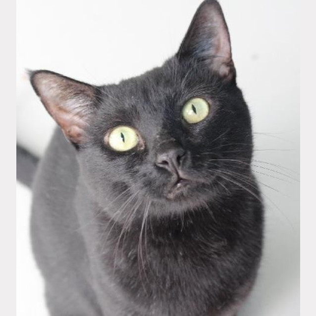 Photo of Bruce