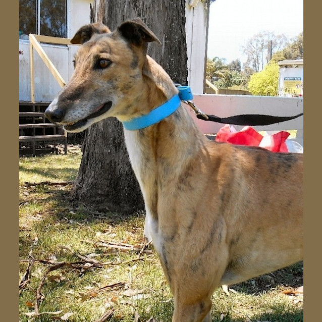 Photo of Uni Is Checking Out His New Home