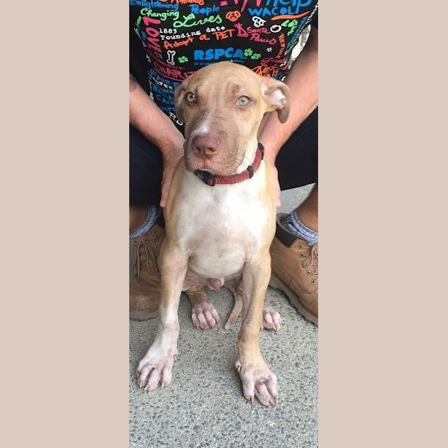 Photo of Bugsy