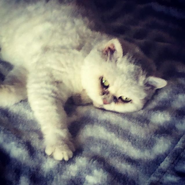 Photo of Princess Marshmallow