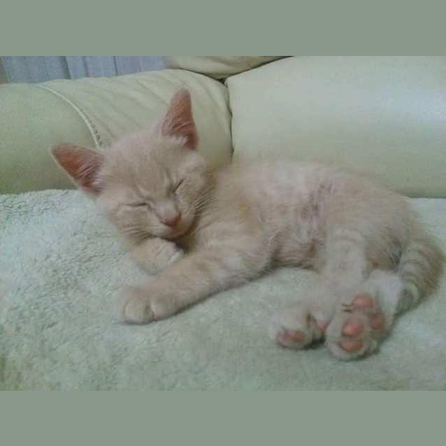 Photo of Benny