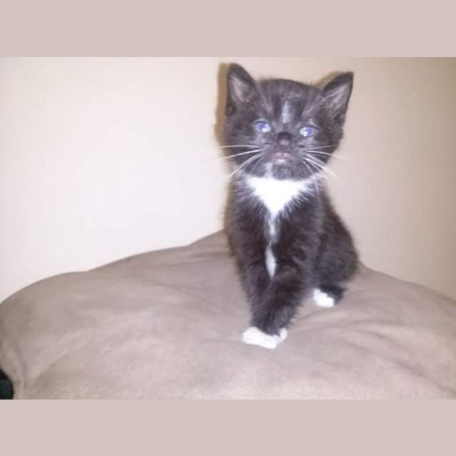 Photo of Stanley