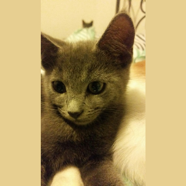 Photo of Lola