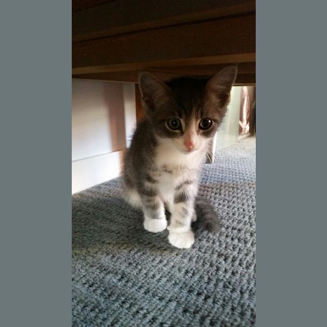 Photo of Leroy