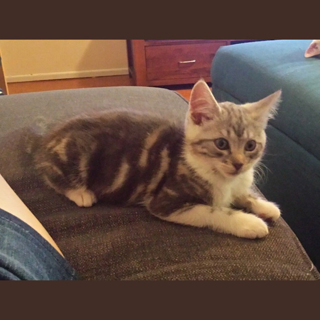 Photo of Calvin