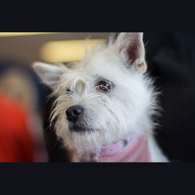 Photo of Lily Jane Dl967