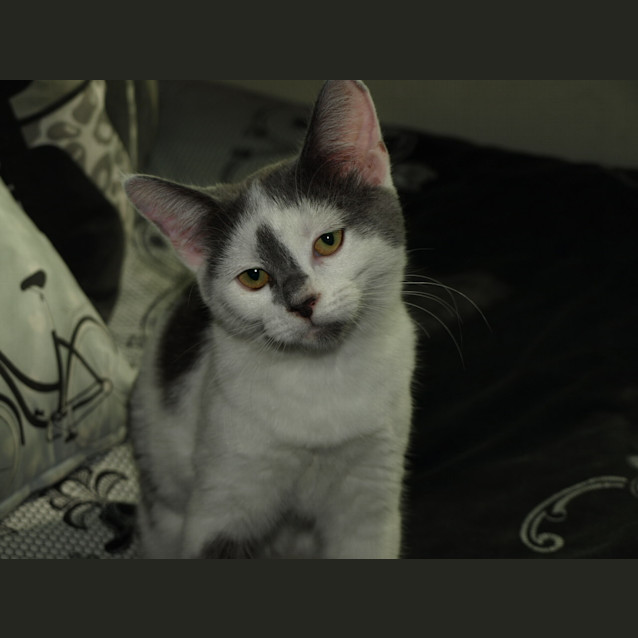 Photo of Candy