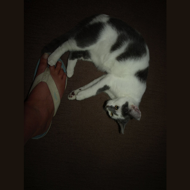 Photo of Candy