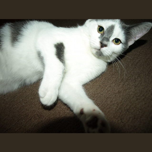 Photo of Candy