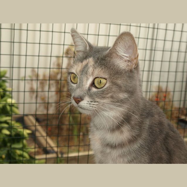 Photo of Nevaeh Location Albury 
